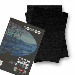 Anupam Pupil WaterColour Black Toned Paper A4 250GSM 10Shts